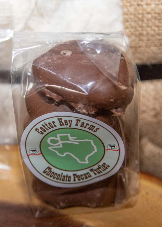 Chocolate Turtles