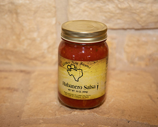 Habanero Salsa