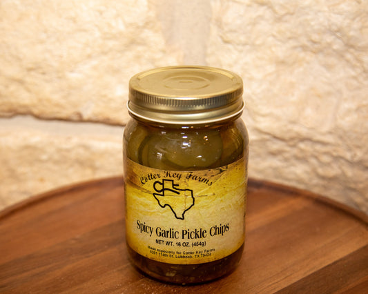 Spicy Garlic Pickle Chips